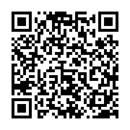 QR code for 65X271