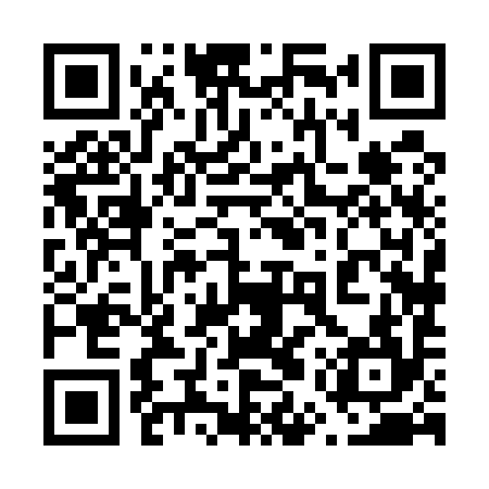 QR code for 65X594