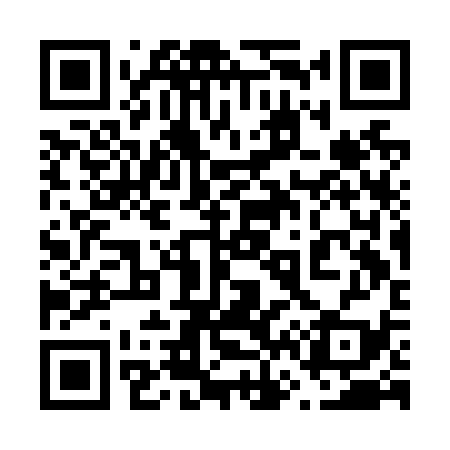 QR code for 663N39