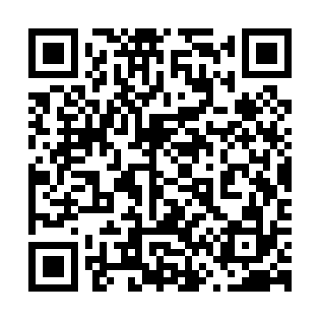 QR code for 663P32