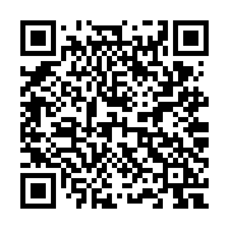 QR code for 666VDI