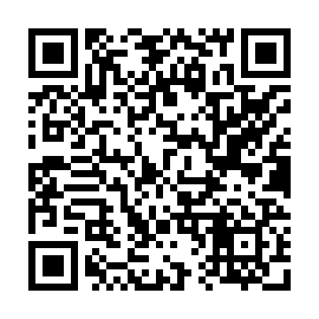 QR code for 668X29