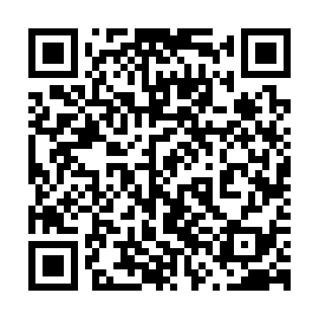 QR code for 66F339