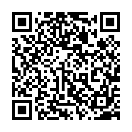 QR code for 66L017