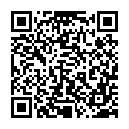 QR code for 66L256