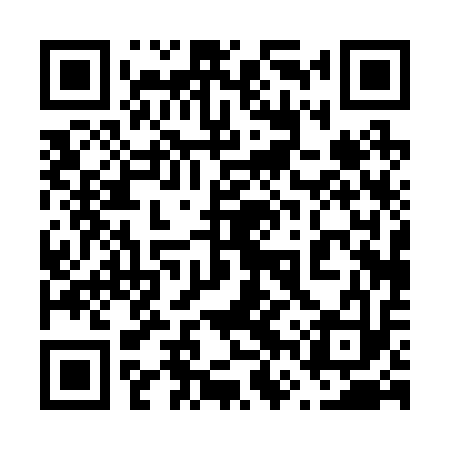 QR code for 66P213