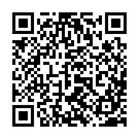 QR code for 66P384