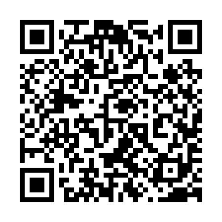 QR code for 66V291