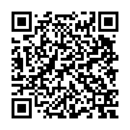 QR code for 66X433