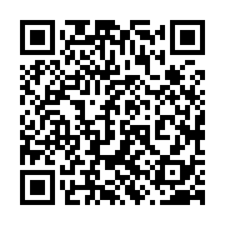 QR code for 66X938