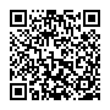 QR code for 66Y065