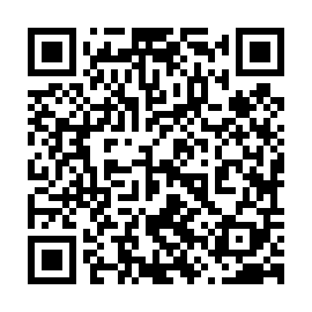QR code for 66Z409