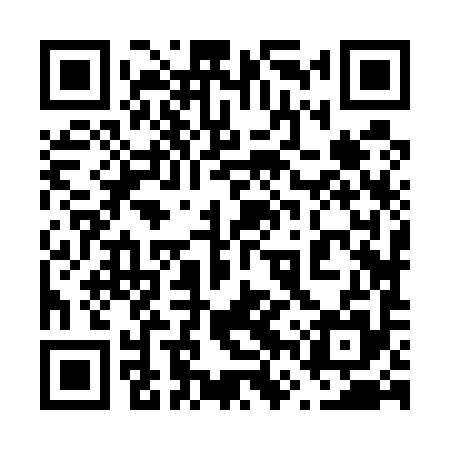 QR code for 66Z595