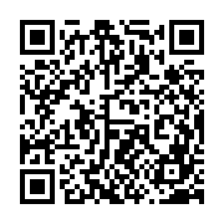 QR code for 675Z66