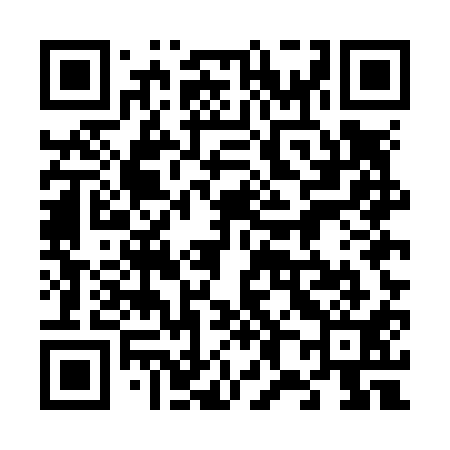 QR code for 685N11