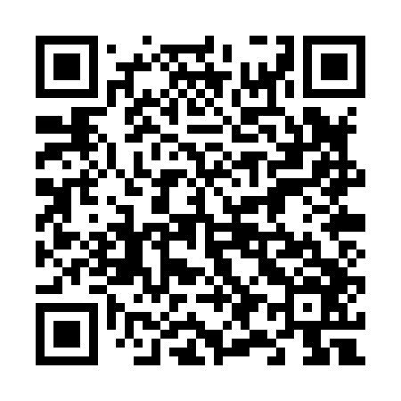 QR code for 690X46