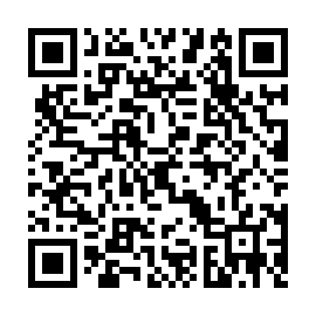 QR code for 698X87