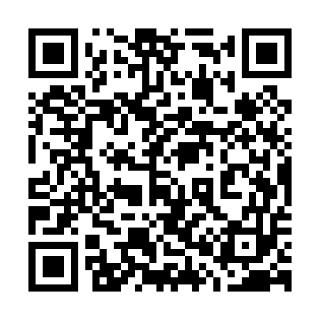 QR code for 705P53