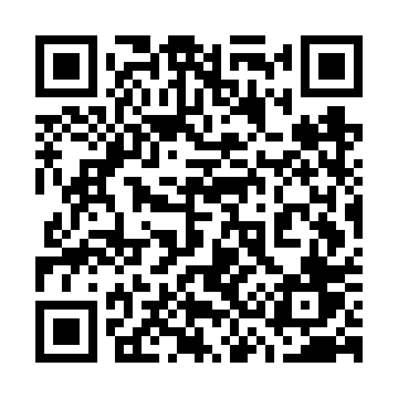 QR code for 737FPV
