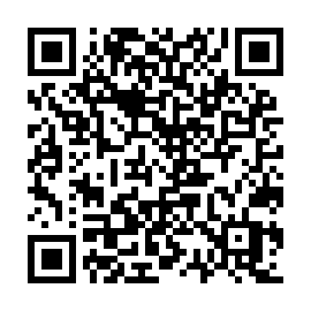 QR code for 737INT