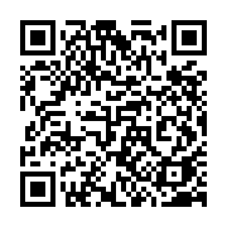 QR code for 737MAA