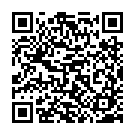 QR code for 737SDM