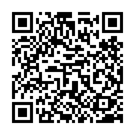QR code for 738DAY