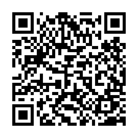 QR code for 738DOT