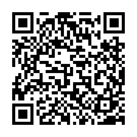 QR code for 738SAS