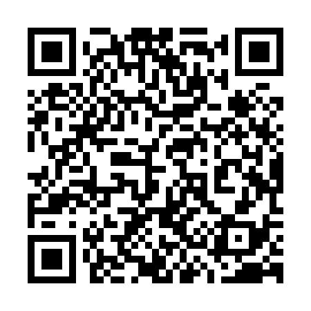 QR code for 738X38