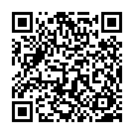 QR code for 739PRO