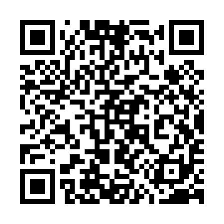 QR code for 753P91