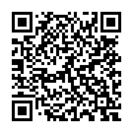 QR code for 767LYM