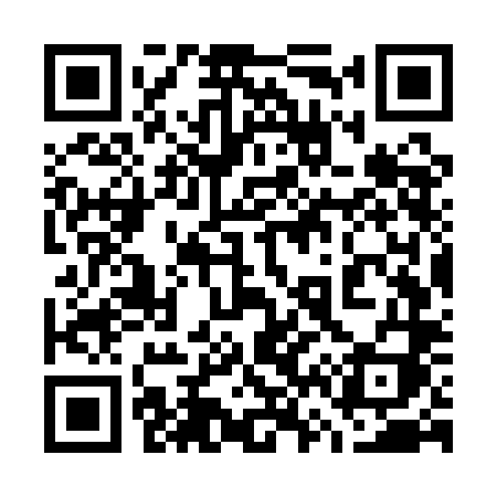 QR code for 767QLI