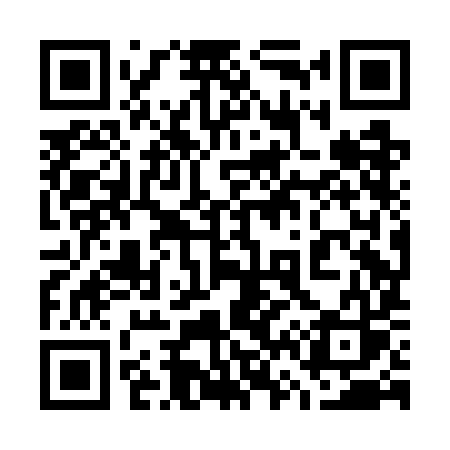 QR code for 768GIS