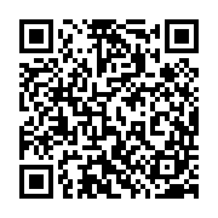 QR code for 768P40