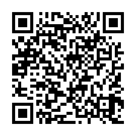 QR code for 80L509