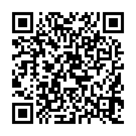 QR code for 80Q950