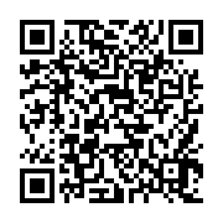QR code for 80X546