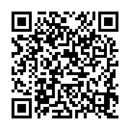 QR code for 80X991