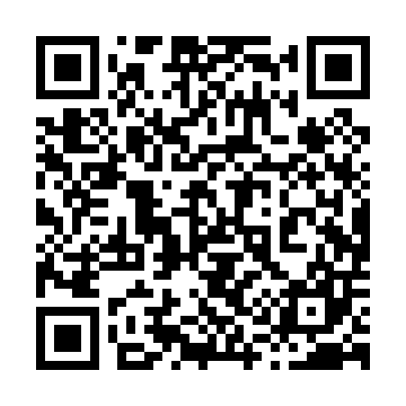 QR code for 810P07