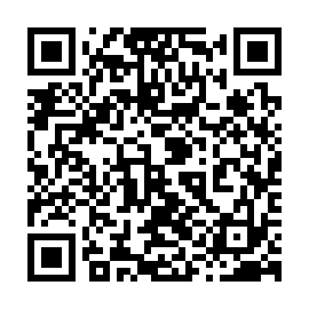 QR code for 81C333