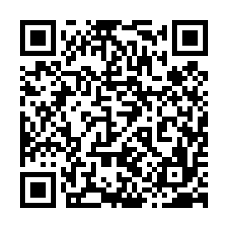 QR code for 81Q416