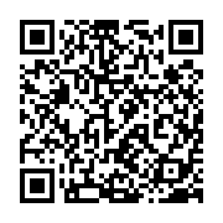 QR code for 81Q519