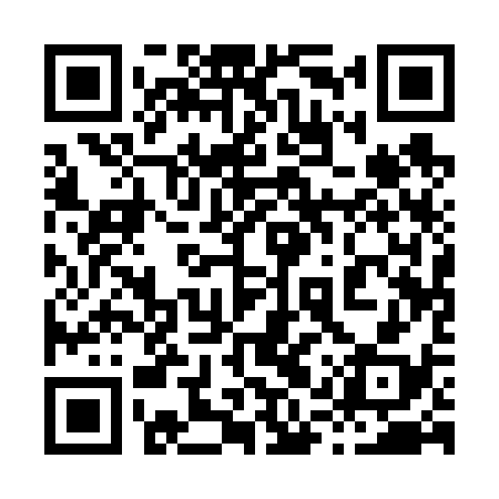 QR code for 81Q638