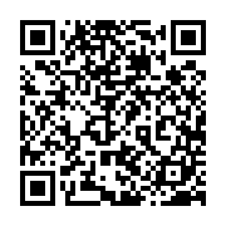 QR code for 81T541