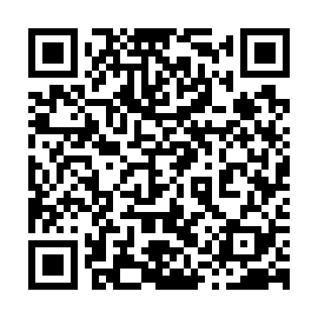 QR code for 81W729