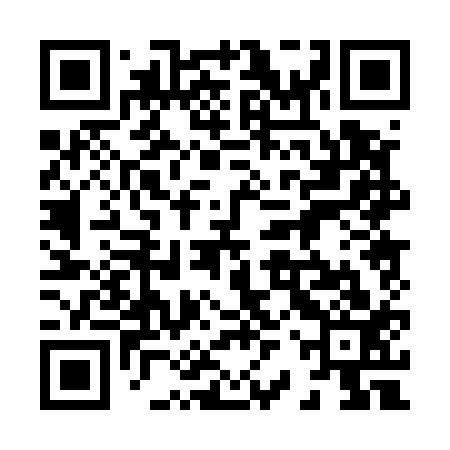 QR code for 82P513