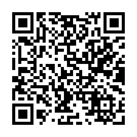 QR code for 838YYL