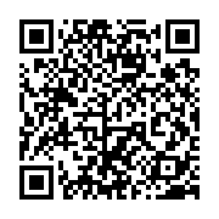 QR code for 853G38